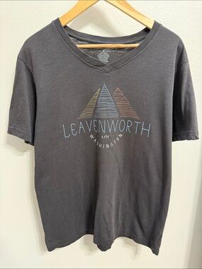 Men’s Ace Grey Leavenworth Mountain Graphic V-Neck Short Sleeve T-Shirt. Size M